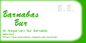 barnabas bur business card
